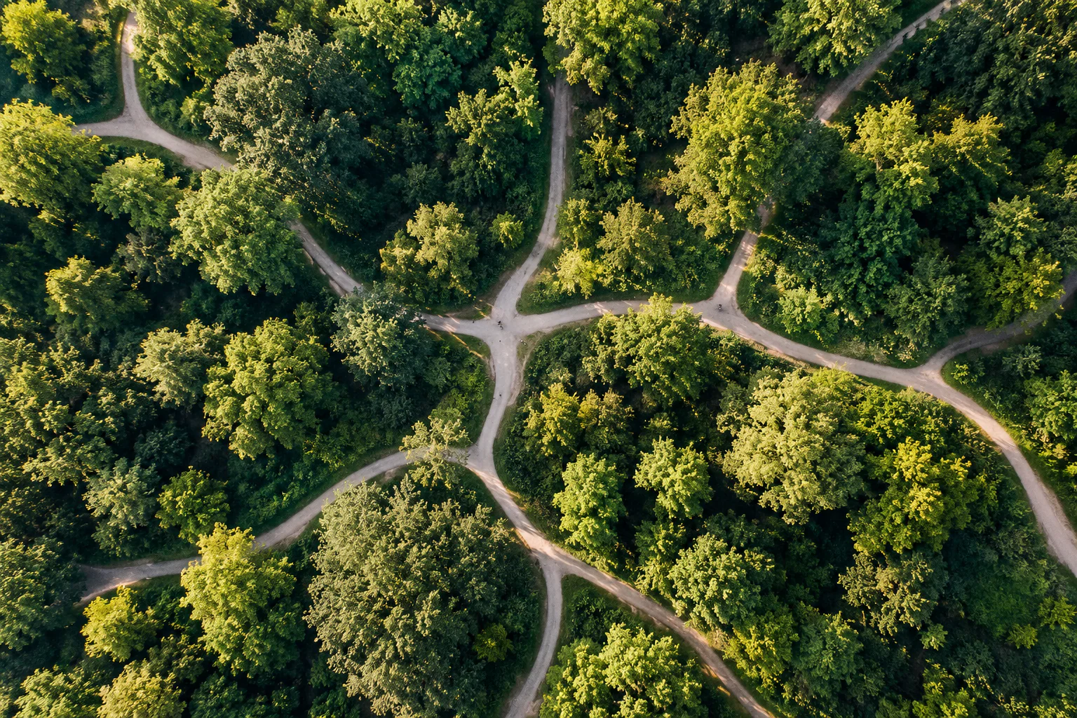 Luchtfoto van een bos met kronkelende paden